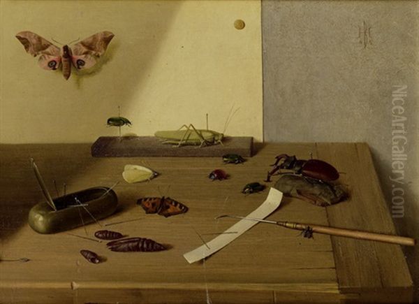 Insekten Und Larven Oil Painting by Herbert Boettger