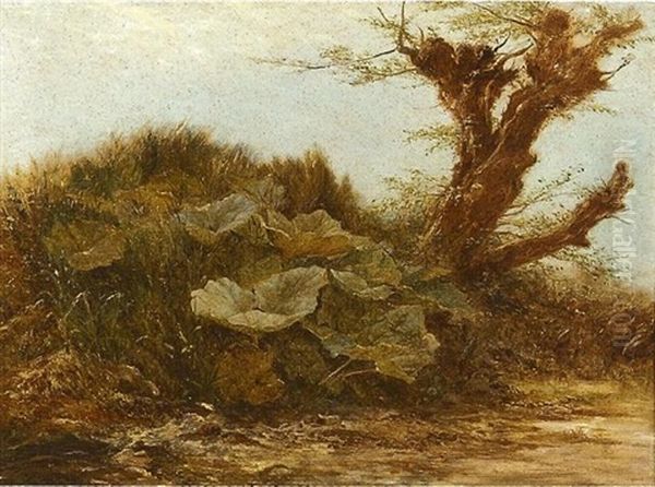 Study A Butter Burr And A Pollarded Willow Oil Painting by Samuel Bough