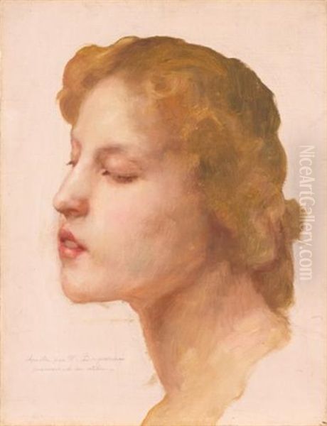 Study Of A Woman's Head by William-Adolphe Bouguereau