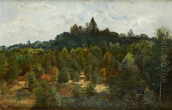 Vue Du Parc De Laeken Oil Painting by Hippolyte Emmanuel Boulenger