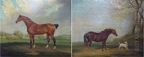 Study Of A Bay Horse In A Landscape; Study Of A Chestnut Horse And A Terrier Oil Painting by Augustus S. Boult