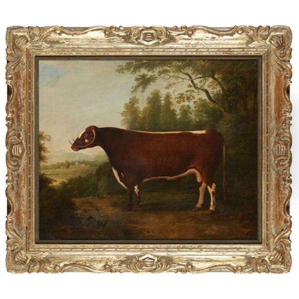 Portrait Of A Bull Oil Painting by John Boultbee