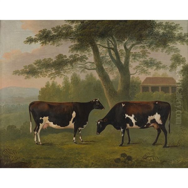 Study Of Two Cows Oil Painting by John Boultbee