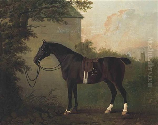 A Saddled Bay Hunter By A Stable Wall Oil Painting by John Boultbee