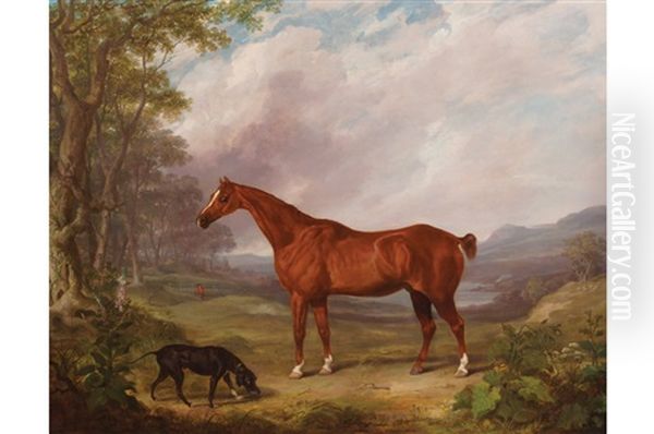 Stallion And A Dog Oil Painting by John Boultbee