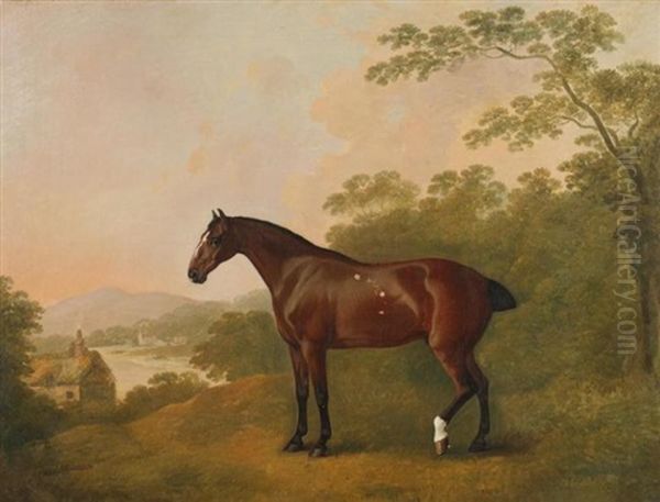 A Horse In A Landscape Oil Painting by John Boultbee