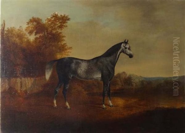 Dapple Grey Arab Stallion In A Landscape Oil Painting by John Boultbee