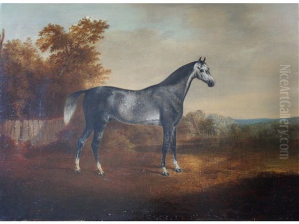 A Dappled Grey Horse In A Landscape Oil Painting by John Boultbee