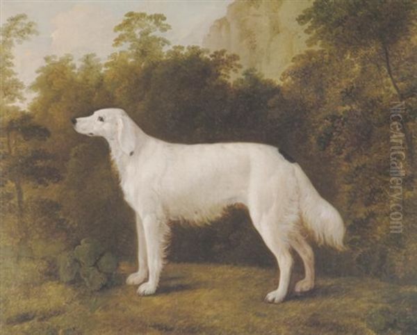 An English Setter In A Landscape Oil Painting by John Boultbee