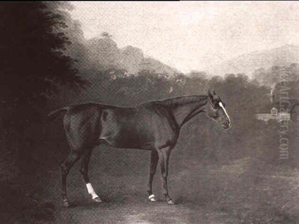 A Study Of A Chestnut Hunter In A Landscape Oil Painting by John Boultbee