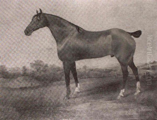 A Bay Stallion In A Landscape Oil Painting by John Boultbee