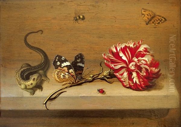 Stillleben Mit Nelke Und Insekten Oil Painting by Johannes Bouman