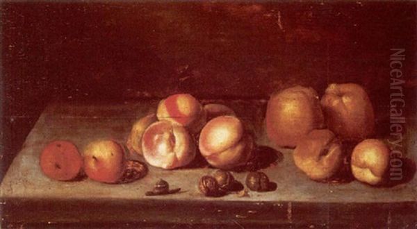 Still Life With Apples And A Snail On A Stone Ledge Oil Painting by Johannes Bouman