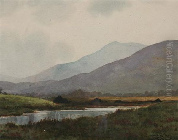 Mountain Stream Oil Painting by Douglas Alexander