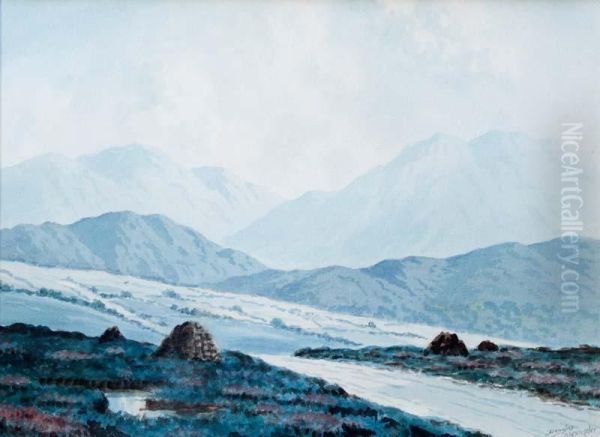 On The Road To Reenaue, Connemara Oil Painting by Douglas Alexander