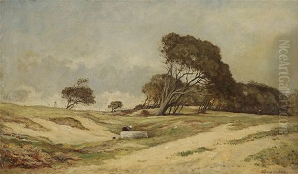 Lavandiere Dans Le Vent Des Landes Oil Painting by Francois Edouard Bournichon