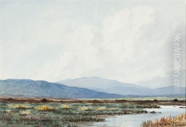 Scene Of Boglands, Near Maam, Connemara Oil Painting by Douglas Alexander