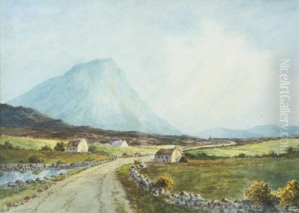 Errigal Mountain, Donegal Oil Painting by Douglas Alexander