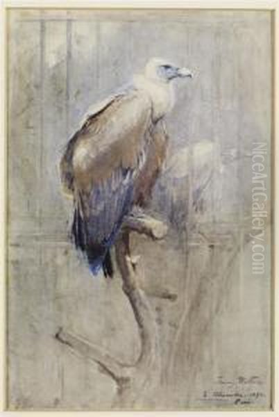 Tawny Vulture Oil Painting by Edwin John Alexander