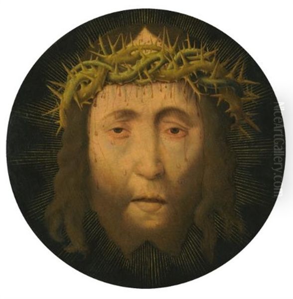 Head Of Christ Oil Painting by Aelbrecht Bouts