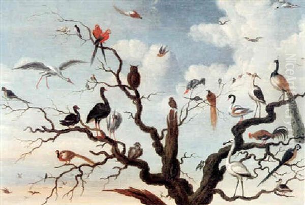 A Concert Of Birds In A Tree, Including Owls, A Pheasant, A Peacock And Other Birds Oil Painting by Frederik Bouttats the Elder