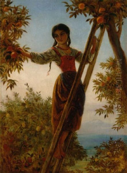 The Orange Picker Oil Painting by Jules Bouvier