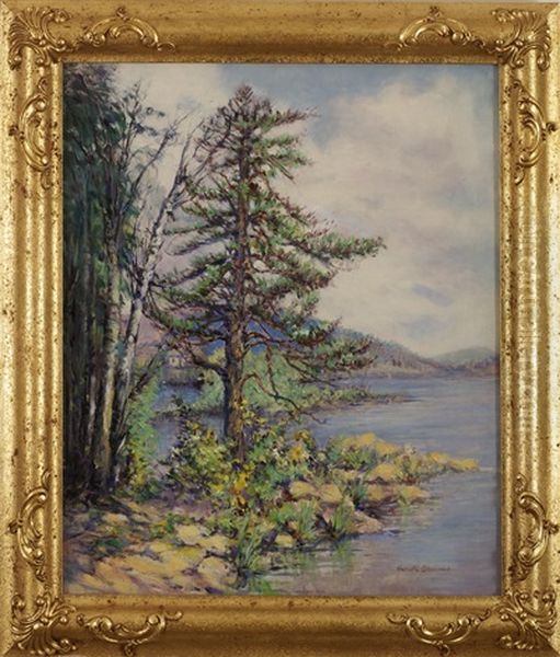 Pine Tree And Cottage Along A Coast Oil Painting by Harriette Bowdoin