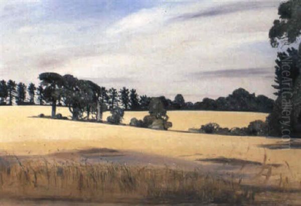 Field At Ramsholt Oil Painting by Arthur Merric Boyd