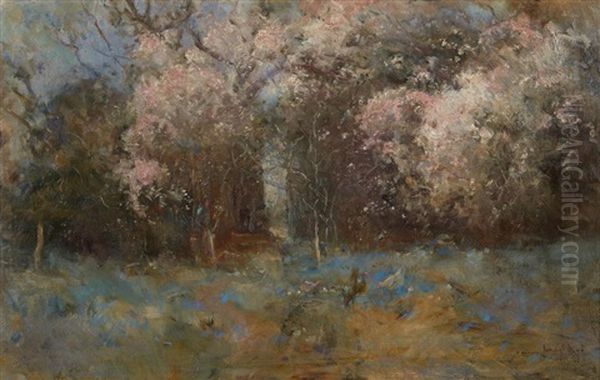 Spring Oil Painting by Penleigh Boyd