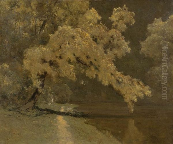 Wattle On The Yarra by Theodore Penleigh Boyd