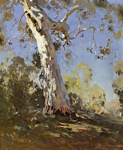 Morning (the White Gum) by Theodore Penleigh Boyd