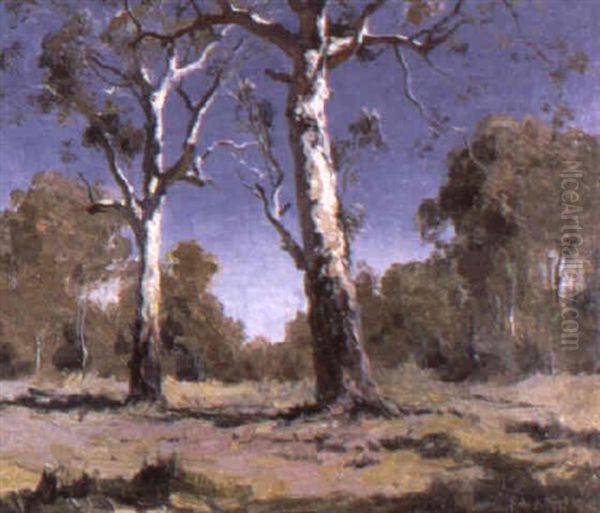 Summer Light Oil Painting by Theodore Penleigh Boyd