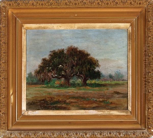 Louisiana Oaks Oil Painting by Charles Wellington Boyle