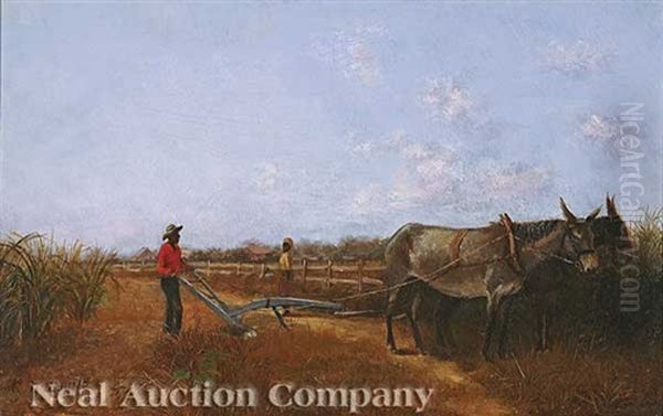 Sugar Cane Field Oil Painting by Charles Wellington Boyle