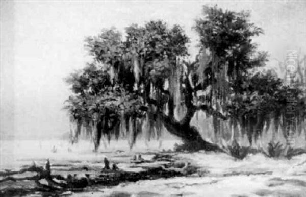 Louisiana Live Oak On The Shore Of Lake Pontchartrain Near Lewisburg Oil Painting by Charles Wellington Boyle