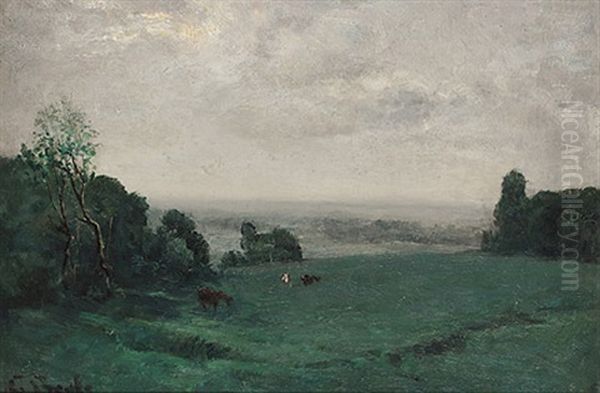 Morgendliche Weidelandschaft Mit Weitem Blick In Das Land Oil Painting by George A. Boyle