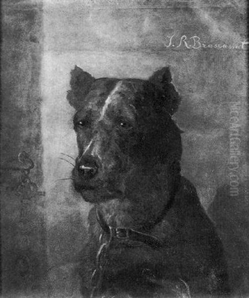 Portrait De Chien Oil Painting by Jacques Raymond Bracassat