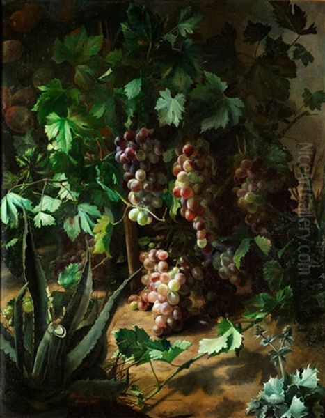 Weinstock Mit Agarve Und Distel Im Vordergrund Oil Painting by Jose Maria Bracho Murillo