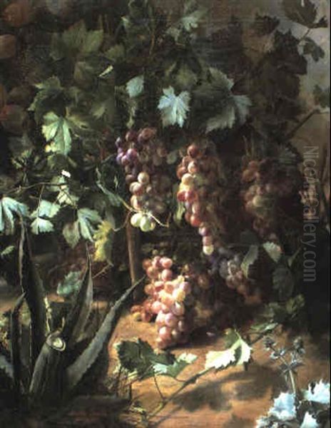 Grapes On A Vine by Jose Maria Bracho Murillo