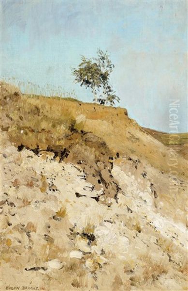 Landschaftsstudie Oil Painting by Eugen Felix Prosper Bracht