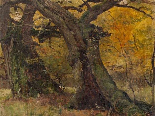 Oak Trees In A Park Oil Painting by Eugen Felix Prosper Bracht