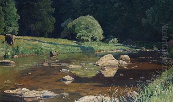 Bobritzsch River (study) Oil Painting by Eugen Felix Prosper Bracht