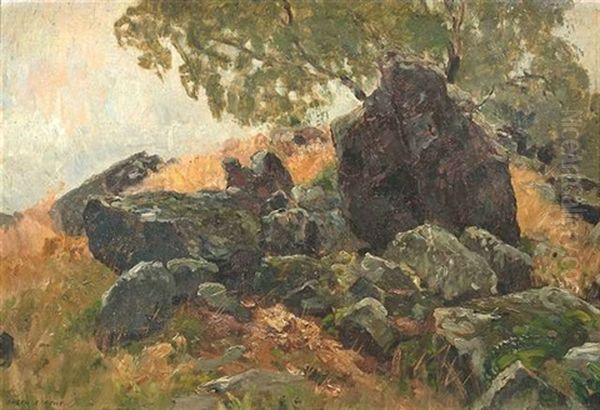 Landschaftsstudie Mit Felsblocken Oil Painting by Eugen Felix Prosper Bracht