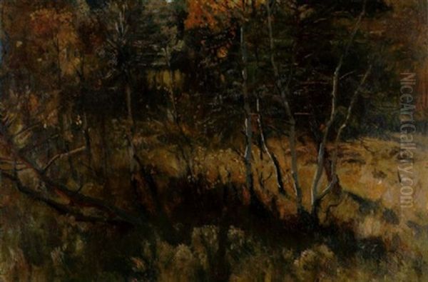 Wald Mit Jungen Birken In Der Herbstsonne Oil Painting by Eugen Felix Prosper Bracht