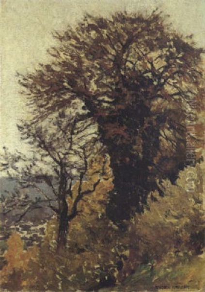 Epheubewachsener Baum Oil Painting by Eugen Felix Prosper Bracht