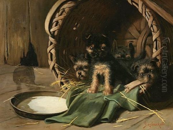 Basket Full Of Puppies Oil Painting by Sidney Lawrence Brackett