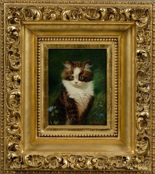 Kitten Oil Painting by Sidney Lawrence Brackett