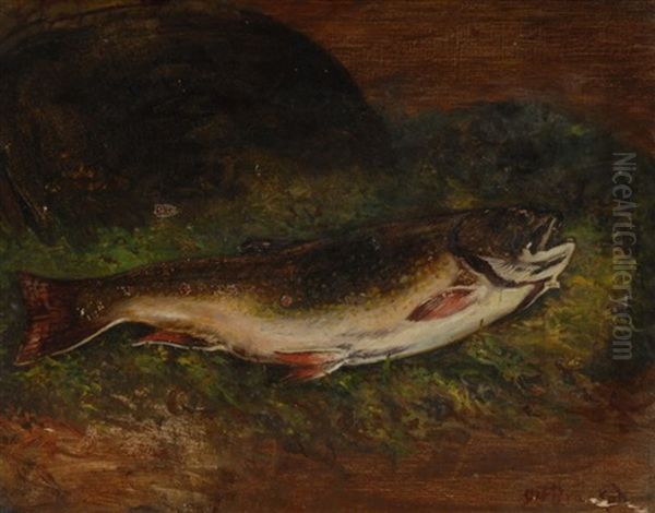 Trout Oil Painting by Sidney Lawrence Brackett