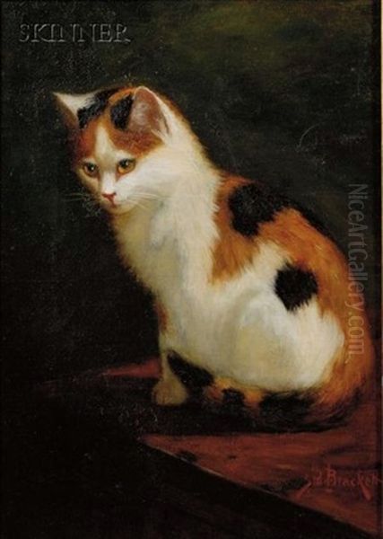 Calico Cat Oil Painting by Sidney Lawrence Brackett