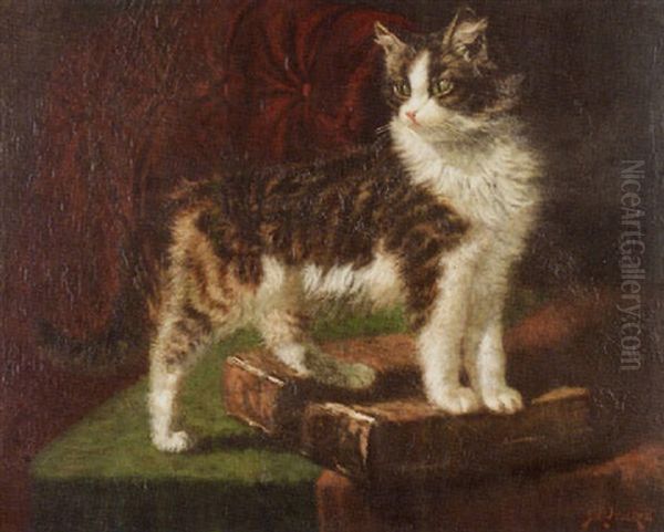 Portrait Of A Tabby Perched On A Leather-bound Volume Oil Painting by Sidney Lawrence Brackett